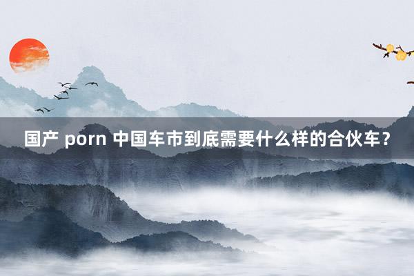 国产 porn 中国车市到底需要什么样的合伙车？