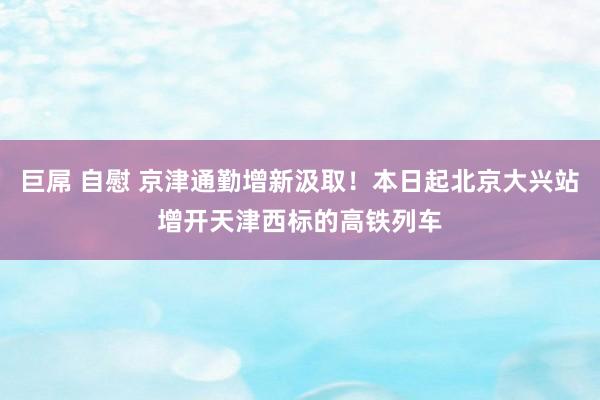 巨屌 自慰 京津通勤增新汲取！本日起北京大兴站增开天津西标的高铁列车