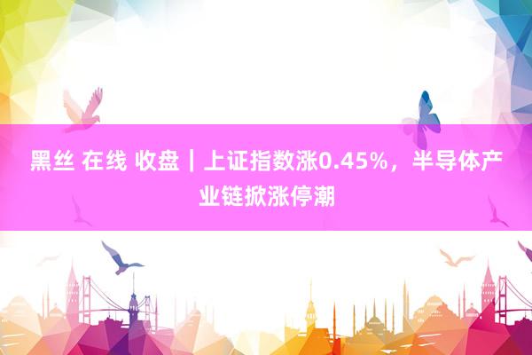 黑丝 在线 收盘｜上证指数涨0.45%，半导体产业链掀涨停潮