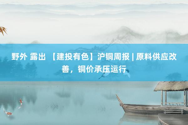 野外 露出 【建投有色】沪铜周报 | 原料供应改善，铜价承压运行
