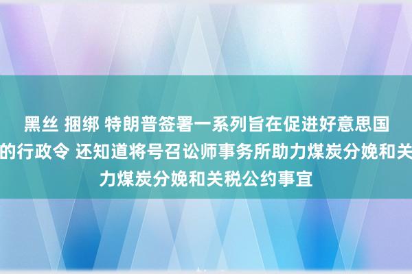 黑丝 捆绑 特朗普签署一系列旨在促进好意思国煤炭业发展的行政令 还知道将号召讼师事务所助力煤炭分娩和关税公约事宜