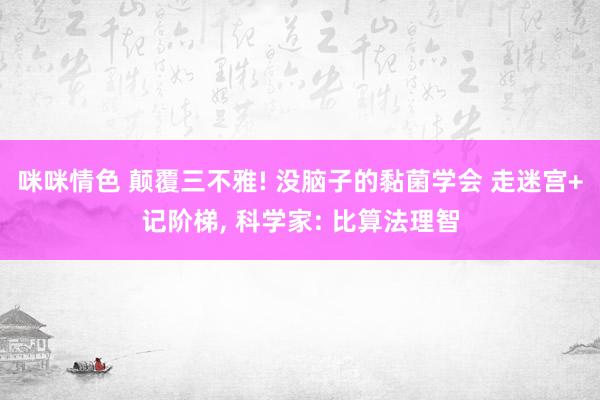 咪咪情色 颠覆三不雅! 没脑子的黏菌学会 走迷宫+记阶梯， 科学家: 比算法理智