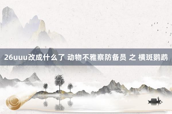 26uuu改成什么了 动物不雅察防备员 之 横斑鹦鹉