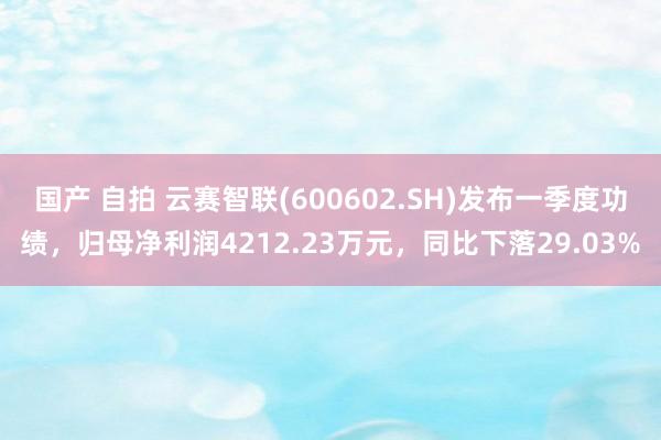国产 自拍 云赛智联(600602.SH)发布一季度功绩，归母净利润4212.23万元，同比下落29.03%