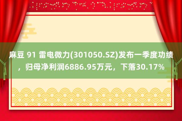 麻豆 91 雷电微力(301050.SZ)发布一季度功绩，归母净利润6886.95万元，下落30.17%